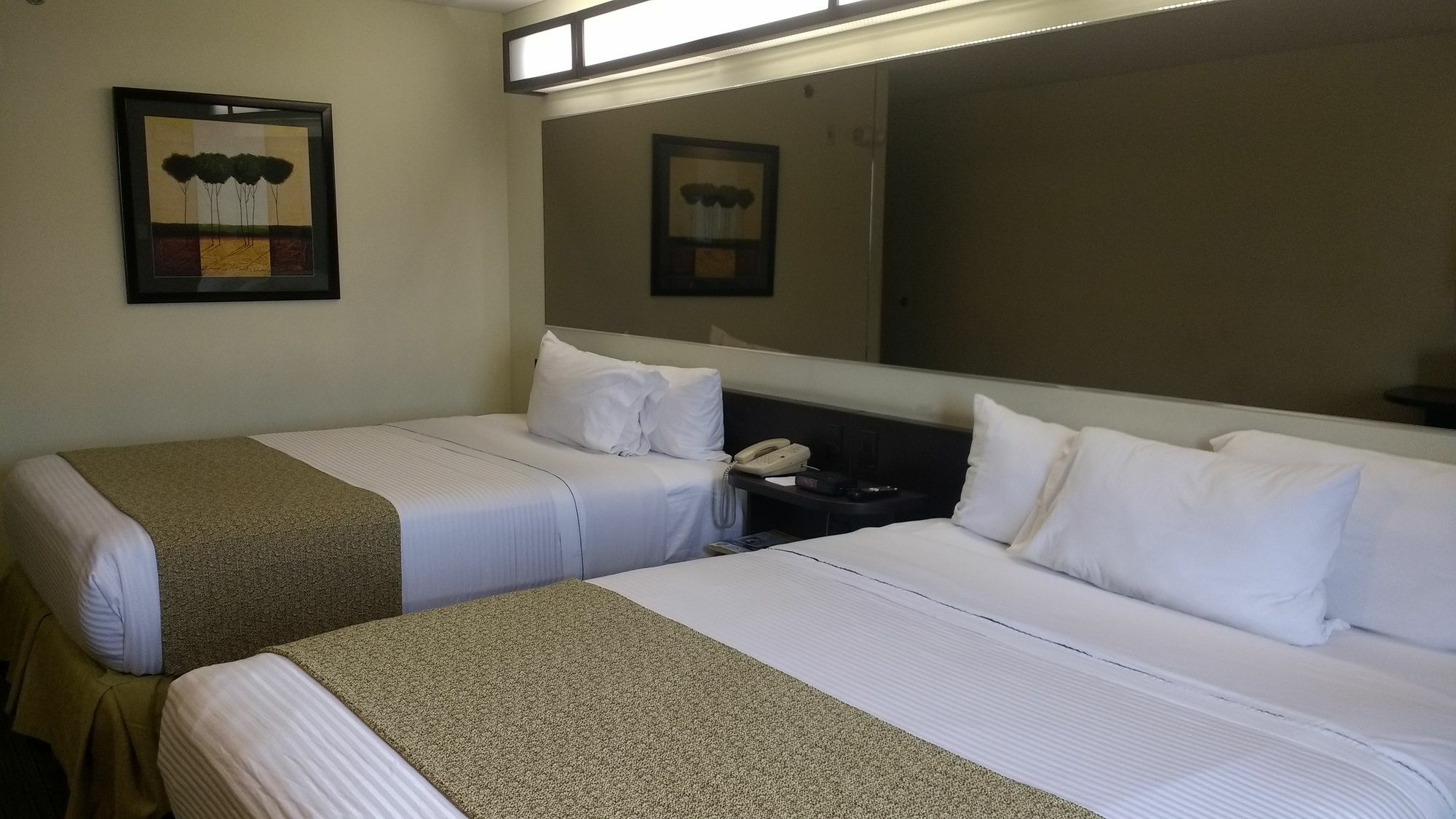 Microtel Inn&Suites Toluca Exterior foto